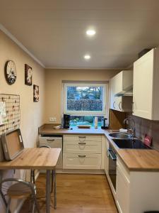 a small kitchen with a sink and a window at Ferienwohnung Alida in Niebüll