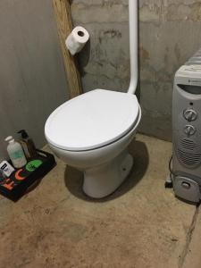 a white toilet in a bathroom with a roll of toilet paper at Bosque Contêiner Eco Guaricana in São José dos Pinhais