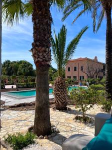 a palm tree next to a swimming pool at Villa Angelina - charming rooms & apartments in Trapani