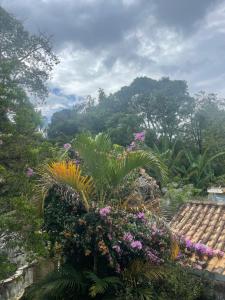 a garden with plants and flowers in front of a mountain at Pousada das Artes in Tiradentes