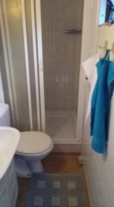 a bathroom with a toilet and a shower with a blue towel at Mogielicki Zakątek in Jurków
