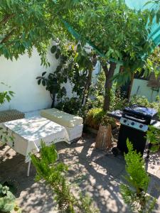 a bench and a stove in a yard with trees at El Pillan "Travelers" House in Santiago