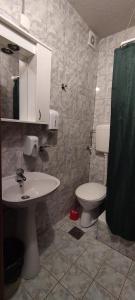 Koupelna v ubytování Vila Ivanović + 21 fotografií