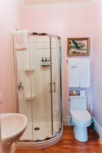 a bathroom with a shower and a toilet and a sink at Manoir Des Curiosits in La Pérade