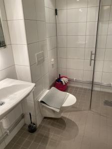 y baño con ducha, aseo y lavamanos. en Lovely 1 bedroom apt on Lidingo, en Kottla