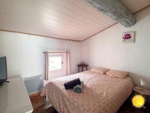 sypialnia z łóżkiem i telewizorem w obiekcie Coeur de Fitou : Maison de village atypique w mieście Fitou