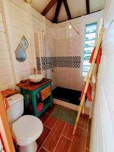 a bathroom with a toilet and a sink and a shower at Kaz à Rosa in Petit-Bourg