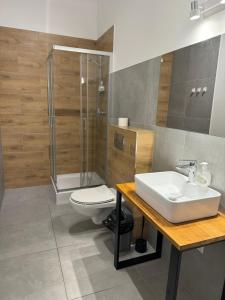 a bathroom with a sink and a shower and a toilet at Hostel Va Bank in Rzeszów