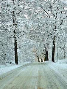 een sneeuw bedekt met bomen omzoomde weg met met sneeuw bedekte bomen bij Dom w lesie in Łukta