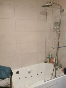 una doccia con porta in vetro in bagno di Superbe appartement calme à République a Parigi