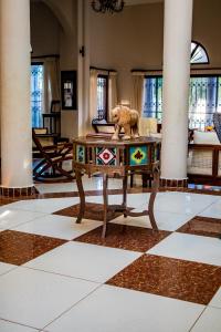 Fotografie z fotogalerie ubytování Amani House v destinaci Kilifi + 55 fotografií