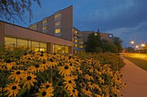 um campo de flores amarelas em frente a um edifício em Hotel Mead Resorts & Conventions Center em Wisconsin Rapids