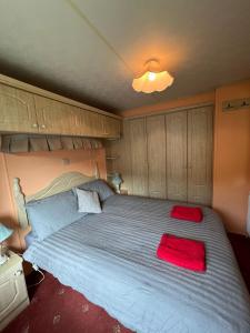 a bedroom with a large bed with two red pillows on it at Beautiful 2 bedroomed mobile home in Aberystwyth