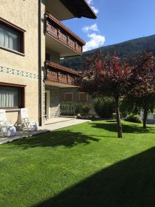 a house with a green yard with a tree in it at Casa Bracchi in Valdisotto +44 photos