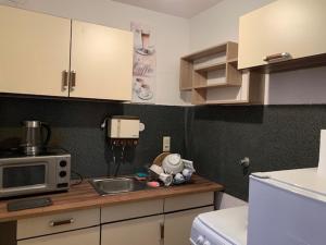 eine Küche mit einer Spüle und einer Mikrowelle in der Unterkunft Solinger Wohnung in Solingen
