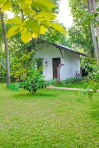 a small white house with a door in a yard at Beacon villa in Anuradhapura