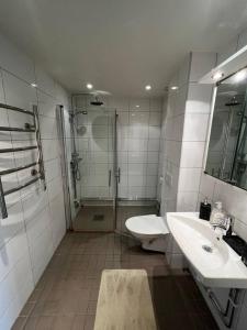 y baño con ducha, aseo y lavamanos. en Cozy 1 bedroom flat on Lindingo, en Kottla