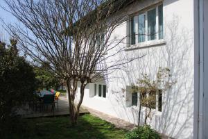 une maison blanche avec un arbre dans la cour dans l'établissement Maison à 7 min à pied de la Côte des Basques (océan), à Biarritz