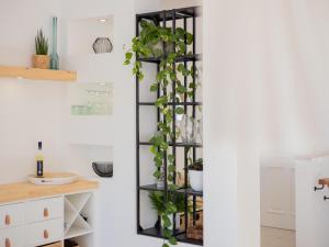een verticaal plantenrek met planten erop in een keuken bij Dream Retreat in Budens - Quinta da Encosta Velha in Budens