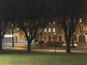 a group of trees in front of a building at night at Riverside Apartments in Linz