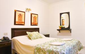 1 dormitorio con cama y espejo en Nuevo Hotel Bristol en Santiago del Estero