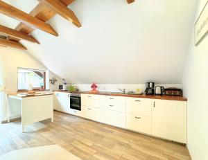 Kuchyň nebo kuchyňský kout v ubytování Luxury holiday home near Lake Bled & the Alps
