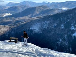 Luxury holiday home near Lake Bled & the Alps v zimě
