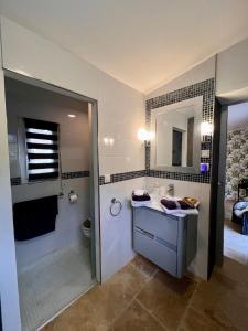 La salle de bains est pourvue d'un lavabo, d'une douche et de toilettes. dans l'établissement Gîte des Estelles "Axel" avec espace Jacuzzi, à Cavaillon