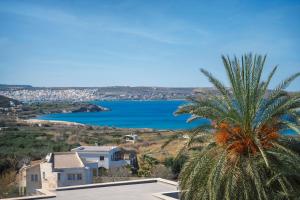 a palm tree in front of a house and a lake at Casa di Demezzo in Sitia +17 photos
