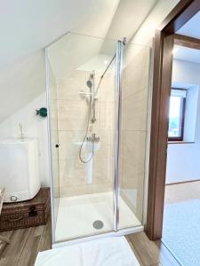y baño con ducha y puerta de cristal. en Traditional house near Lake Bled & the Alps en Kropa
