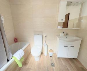Koupelna v ubytování Luxury holiday home near Lake Bled & the Alps