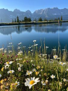 a field of flowers in front of a lake at Pension Mirabelle in Ellmau