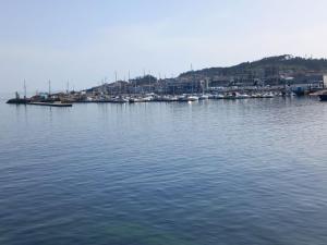 a large body of water with a harbor with boats at SOLPOR DO VERAN in Ribeira