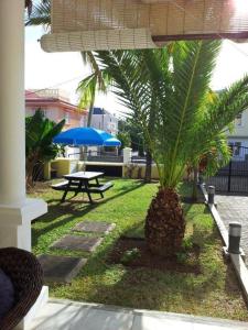 un patio con una mesa y una palmera en Résidence Syrina 1, en Trou aux Biches