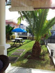 a patio with a table and a palm tree at Résidence Syrina 1 in Trou aux Biches