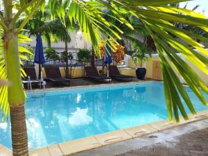 a swimming pool with chairs and a palm tree at Résidence Syrina 1 in Trou aux Biches