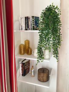 a book shelf with a plant and books at EZPONDAKOBORDA in Espelette
