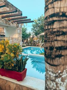 Bazén v ubytování La Casa de las Lunas nebo v jeho okolí + 24 fotografií