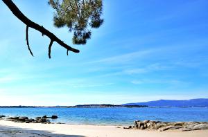 uma praia com uma árvore e o oceano com pedras em Casa de playa en Vilanova de Arousa em Vilanova de Arousa