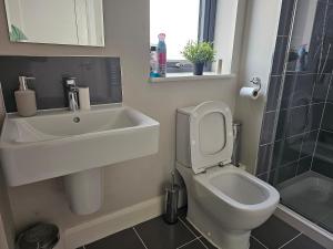 ein Bad mit einem Waschbecken, einem WC und einer Dusche in der Unterkunft Comfortable Short Stay in Dublin in Dublin