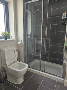 a bathroom with a toilet and a glass shower at Comfortable Short Stay in Dublin in Dublin