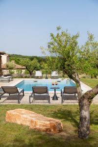 ein Pool mit zwei Bänken und ein Baum daneben in der Unterkunft Rustic Villa Calluna with a pool in Istria in Sveti Lovreč Pazenatički