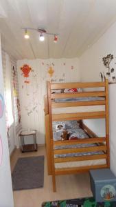a bedroom with two bunk beds in a room at FW & FH Lüsselfeld in Zwiesel