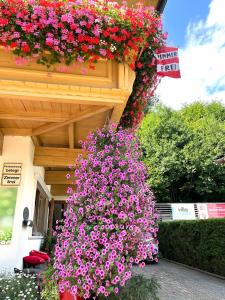 Ein paar Blumen auf der Seite eines Gebäudes in der Unterkunft Pension Mirabelle in Ellmau