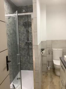 a bathroom with a shower and a toilet at Gîte de L’entre Deux in Upie