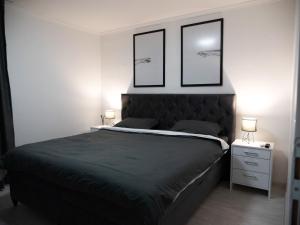 een slaapkamer met een bed met twee foto's aan de muur bij Apartman PLATINUM in Doboj