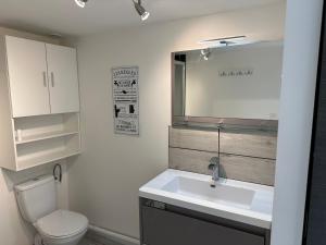 La salle de bains est pourvue d'un lavabo, de toilettes et d'un miroir. dans l'établissement Charmant Duplex en Centre-ville Proche du Puy-du-fouu, à Cholet