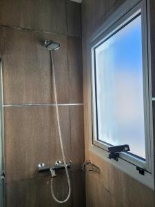 a shower in a bathroom with a window at Espacio Chacabuco in Comodoro Rivadavia