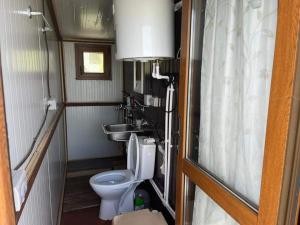 a small bathroom with a toilet and a sink at Ponton plutitor in Periprava