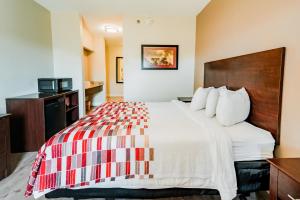 a hotel room with a large bed and a desk at Red Roof Inn San Antonio - Seaworld Northwest in San Antonio
